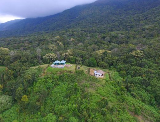 Papadum SHOLA Forest Stay